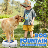 Dog Water Fountain