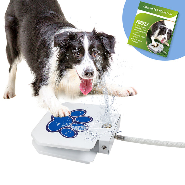 Dog Water Fountain – BACOENG