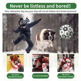 Dog Soccer Ball