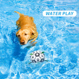 Dog Soccer Ball