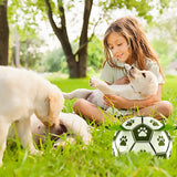 Dog Soccer Ball