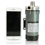 Beer Pump 110V/60Hz