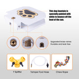 Dog Water Fountain Toy