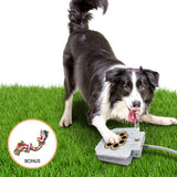 Dog Water Fountain Toy