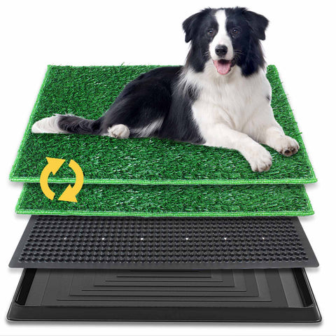 Dog Grass Pee Pad(M)
