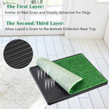 Dog Grass Pee Pad(S/L)
