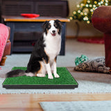 Dog Grass Pee Pad(S/L)