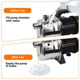 Water Transfer Pump 110V