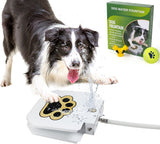 Dog Water Fountain Toy