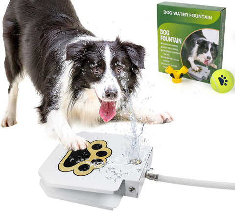 Dog Water Fountain Toy